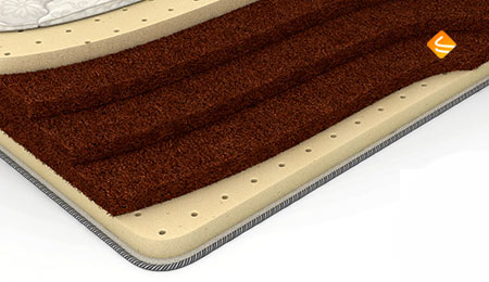Dreamline Orto Soft